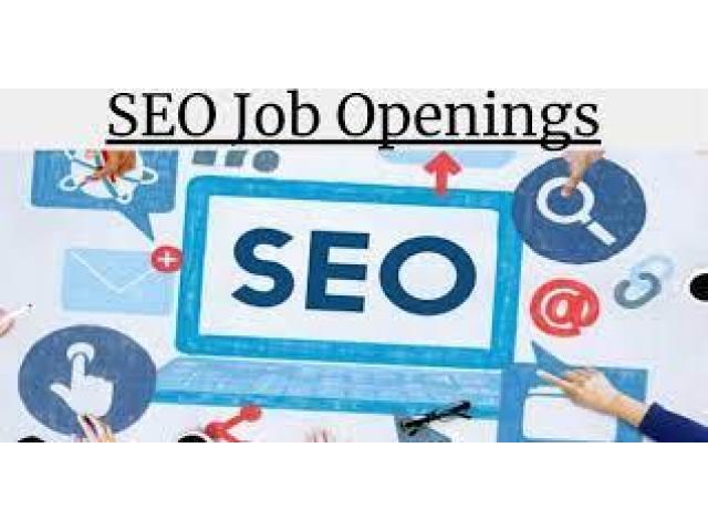 SEO Fresher Urgent Requirement in Ahmedabad - 1/1
