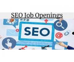 SEO Fresher Urgent Requirement in Ahmedabad