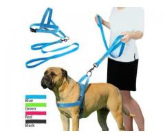 No Pull Reflective Dog Harness Leash Set For Training & Walking