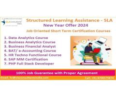 Online Business Analytics Training in Delhi, Seemapuri, 100% Job Placement